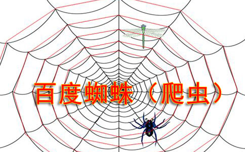 網(wǎng)站優(yōu)化：解鎖網(wǎng)絡成功的關鍵密碼